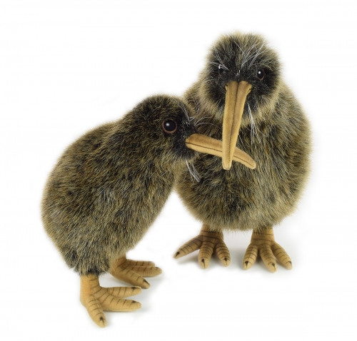 Kiwi 20 cm